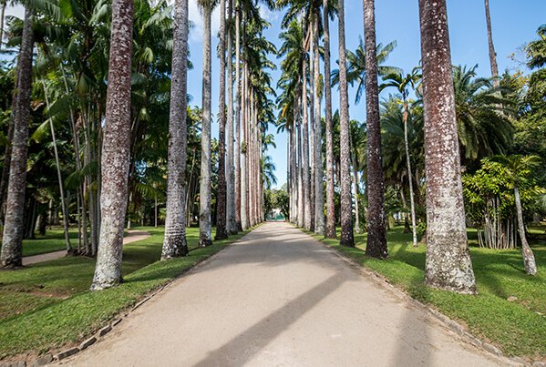 jardim-botanico